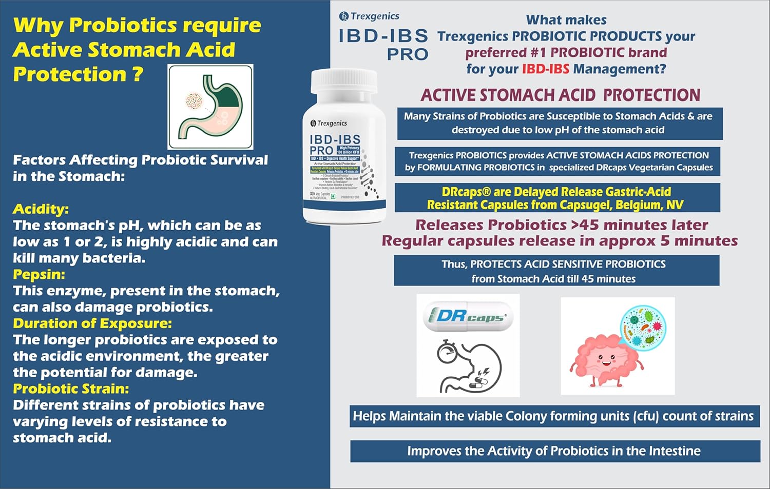 Trexgenics IBD-IBS PRO Digestive Health Delayed Release Gastric Protection Probiotics Bacillus coagulans, subtilis & clausii 100 Billion CFU (30 Veg Capsules)