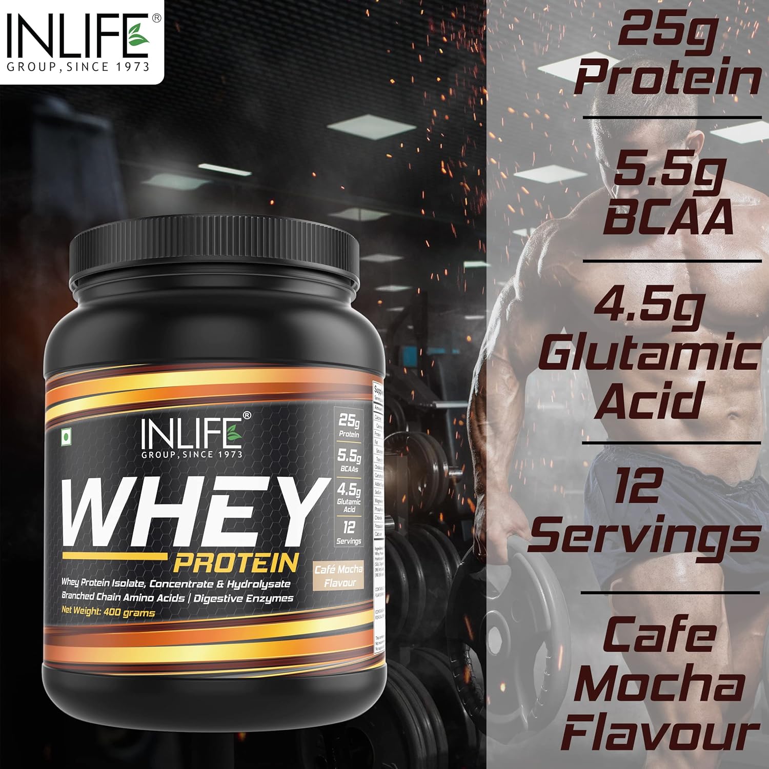 INLIFE Whey Protein Powder, Blend of Isolate Concentrate Hydrolysate Powder, Sports Nutrition Workout Drink, Muscle Food, Body Building Supplement for Men Women (Cafe Mocha, 400g)