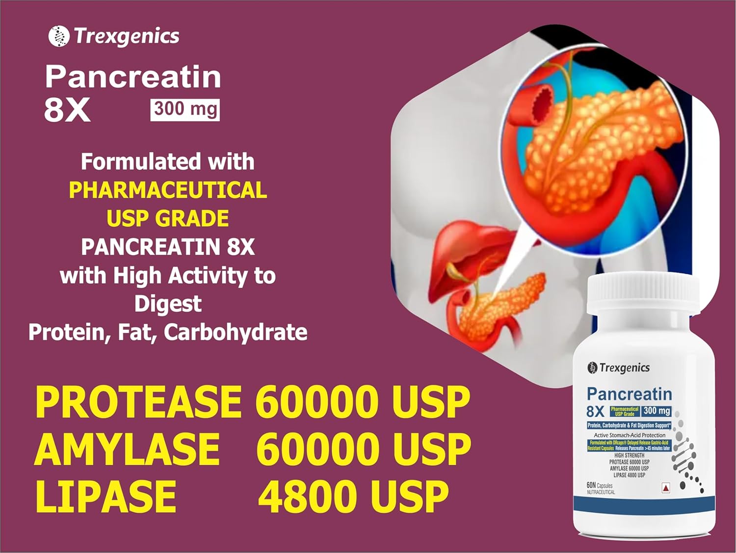 Trexgenics PANCREATIN 300 mg 8X Pharmaceutical Grade Stomach Acid Protected Protease 60000 USP, Amylase 60000 USP, 4800 USP Lipase Digestive Health Support (60 DRcaps)
