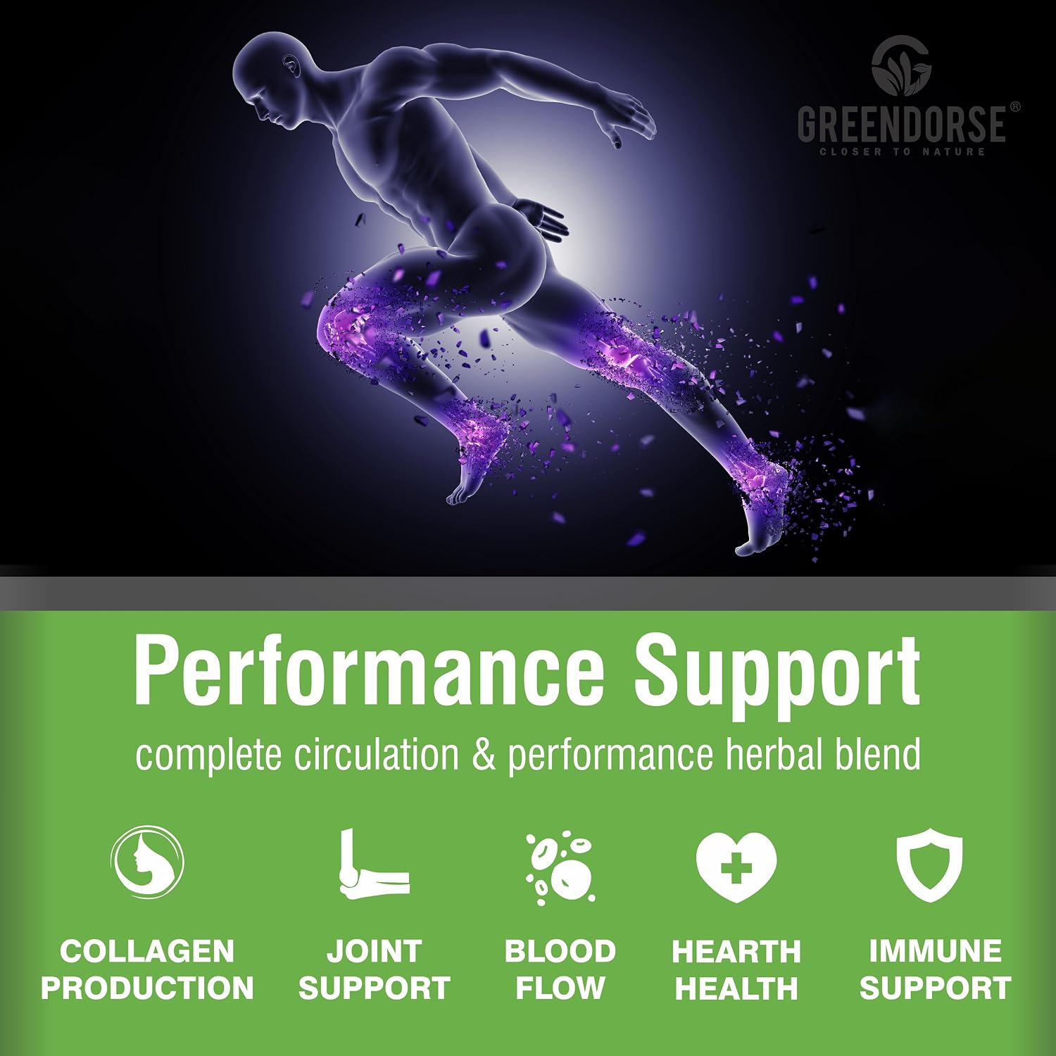 GREENDORSE Pine Bark Extract | 95% Proanthocyanidins with Green Tea Extract (50% EGCG) & Cayenne Pepper | Supports Blood Flow, Nitric Oxide & Antioxidant Defense | Premium Circulatory Formula | 60 Veg Capsules