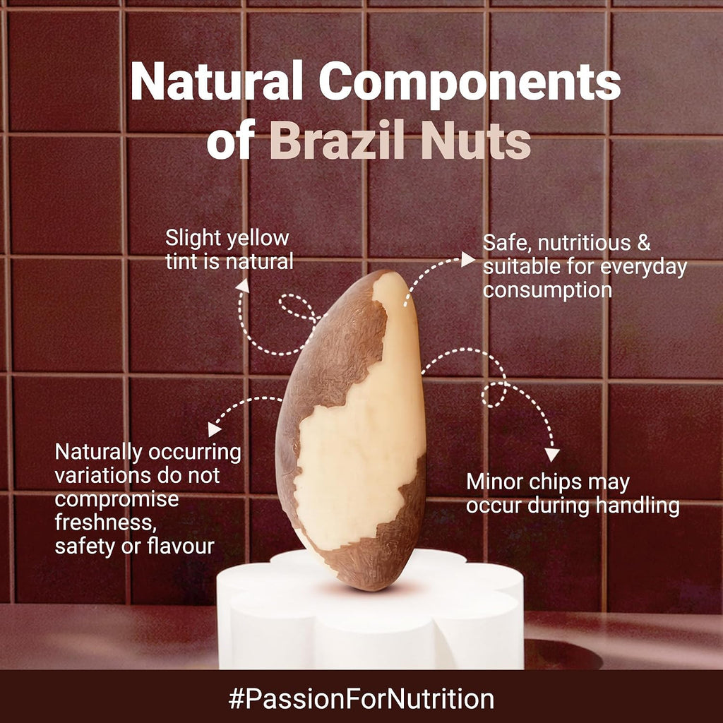 Nutraj Brazil Nuts Roasted 100g Pouch | No Added Preservatives | Handpicked & Exotic | Raw & Unsalted Natural Whole