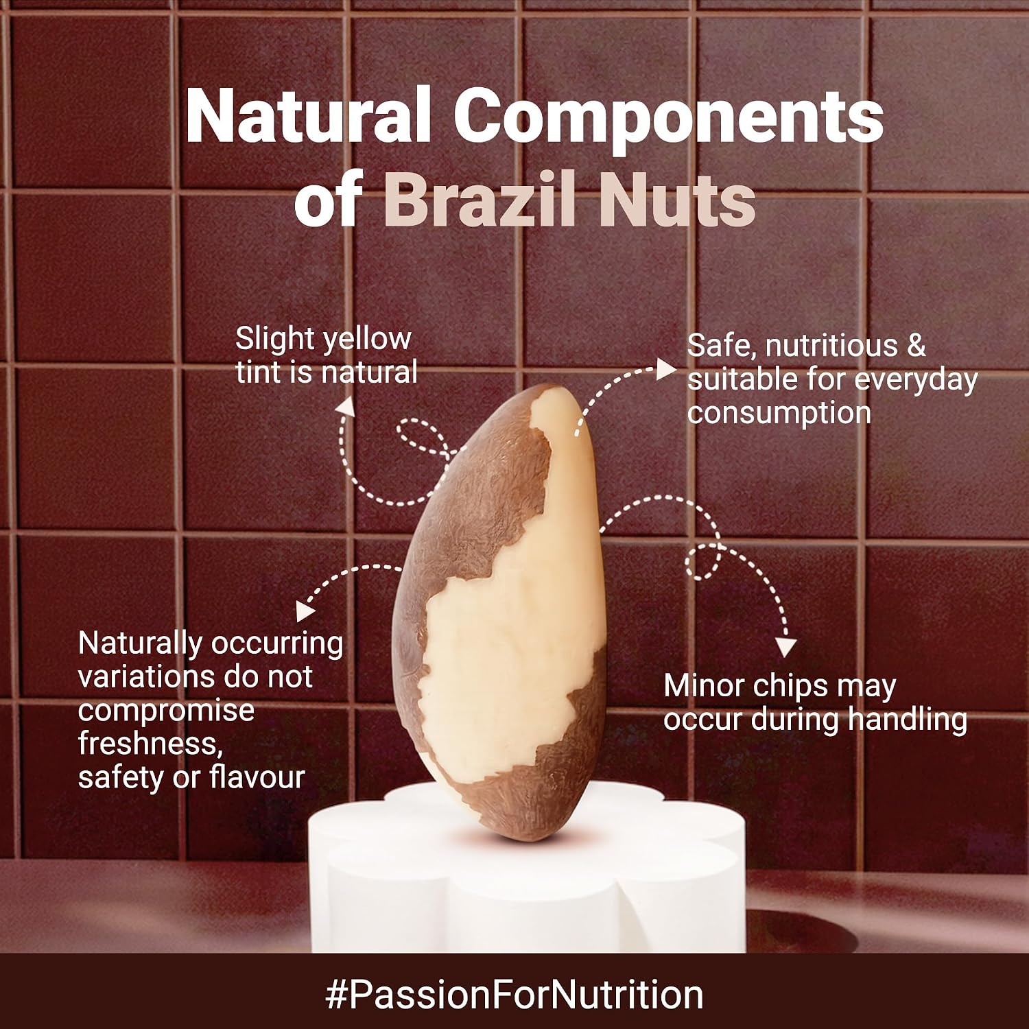 Nutraj Brazil Nuts Roasted 100g Pouch | No Added Preservatives | Handpicked & Exotic | Raw & Unsalted Natural Whole