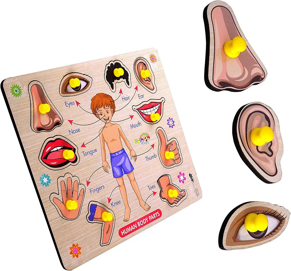 Lefan Body Part Puzzle Kids Wooden Toys for Kids 3 + Jigsaw Puzzles for Adults Baby Learning Toys Educational Toys for 2 Board Game