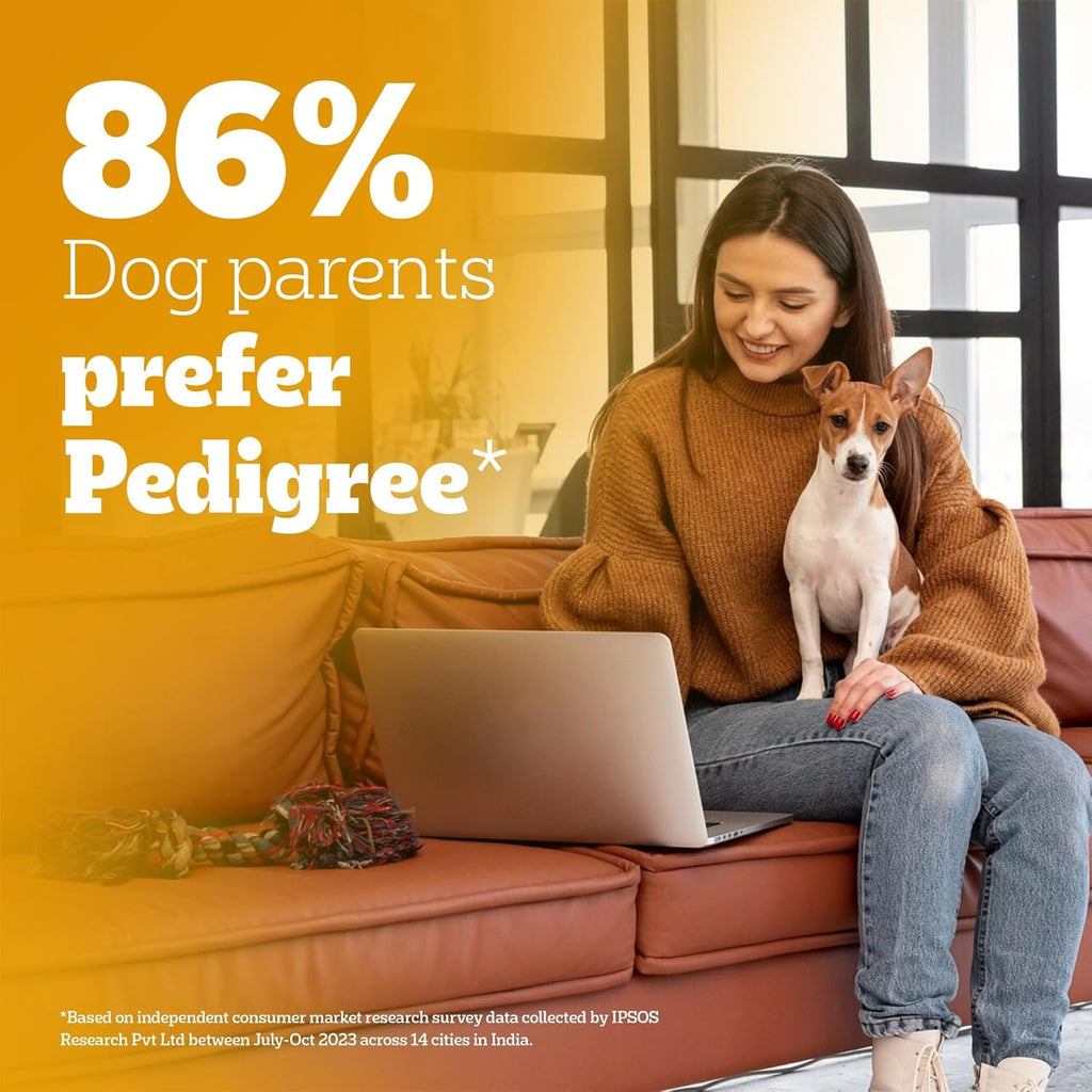 Pedigree Puppy Wet Dog Food, Chicken Chunks in Gravy, 70 g (Pack of 15), Complete & Balanced Meal for Puppies