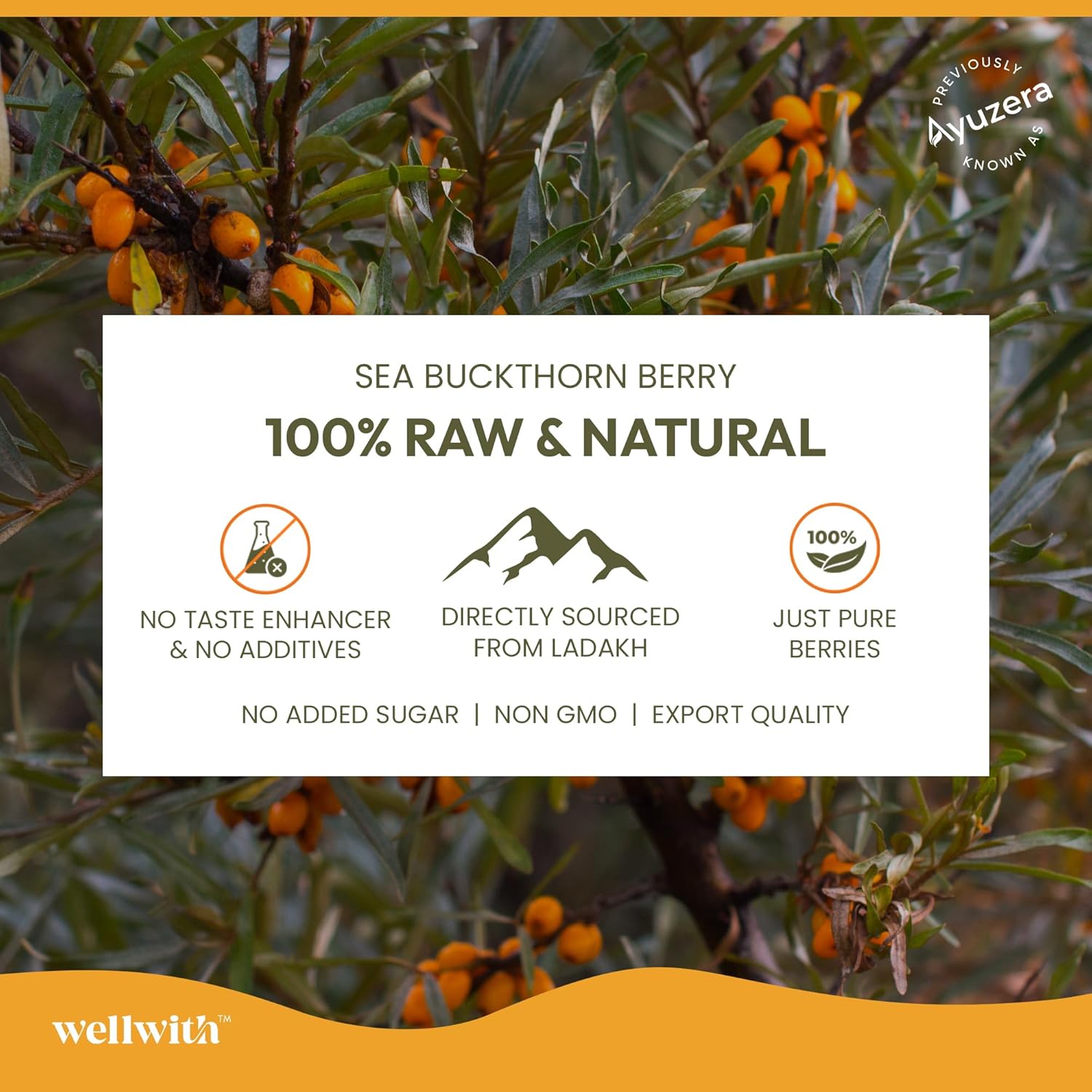 Wellwith by Ayuzera Natural Himalayan Sea Buckthorn Pulp 300ml | Cold Pressed Nutrient Rich Juice | Loaded with Vitamin C, Omega 3 6 7 9 & Antioxidants | For Skin, Immunity & Digestive Health
