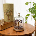 Ritualistic Dome Crystal Chakra Tree  Amethyst Gemstone Bonsai