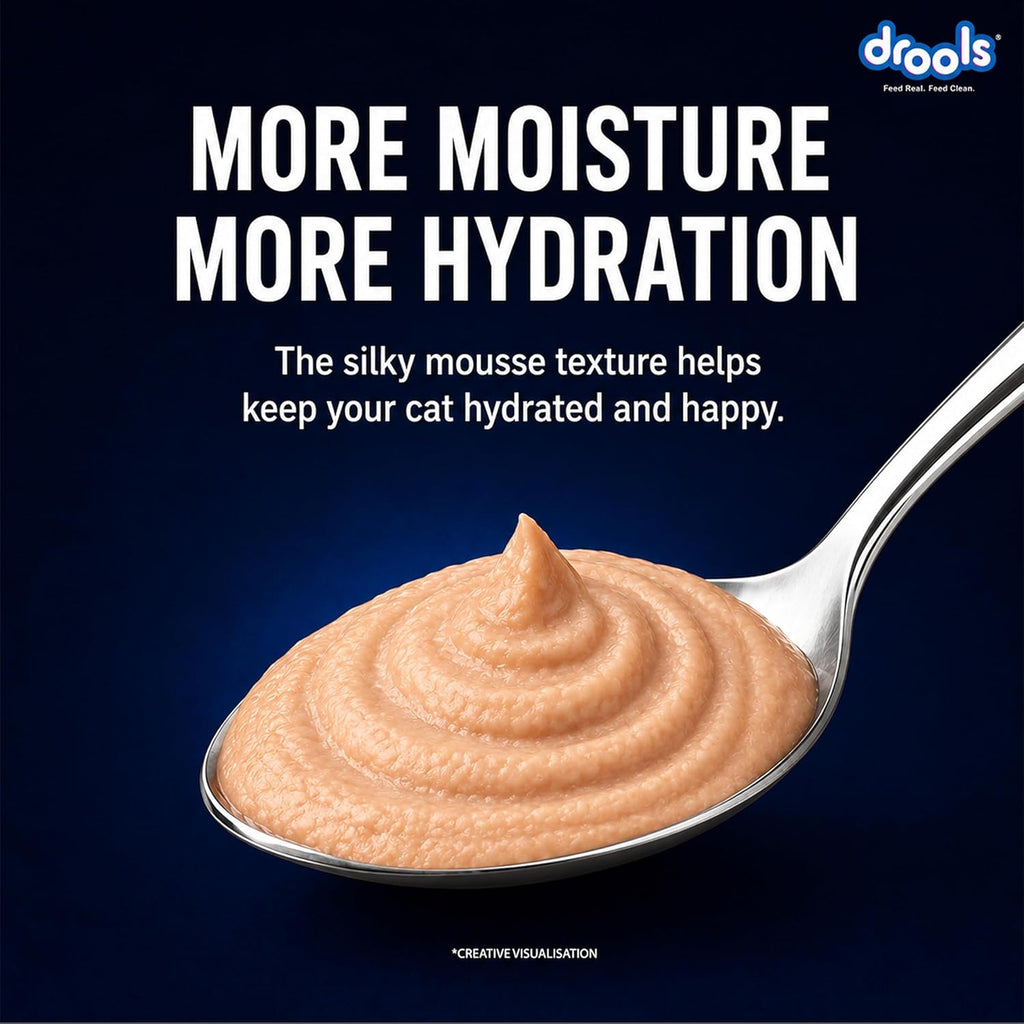 Drools Adult Cat Wet Mousse 80g Pack of 5, 400g | Salmon Flavour | Rich in Protein | Promotes Hydration & Easy to Digest | No Artificial Flavours | Packed with Essential Vitamins & Antioxidants