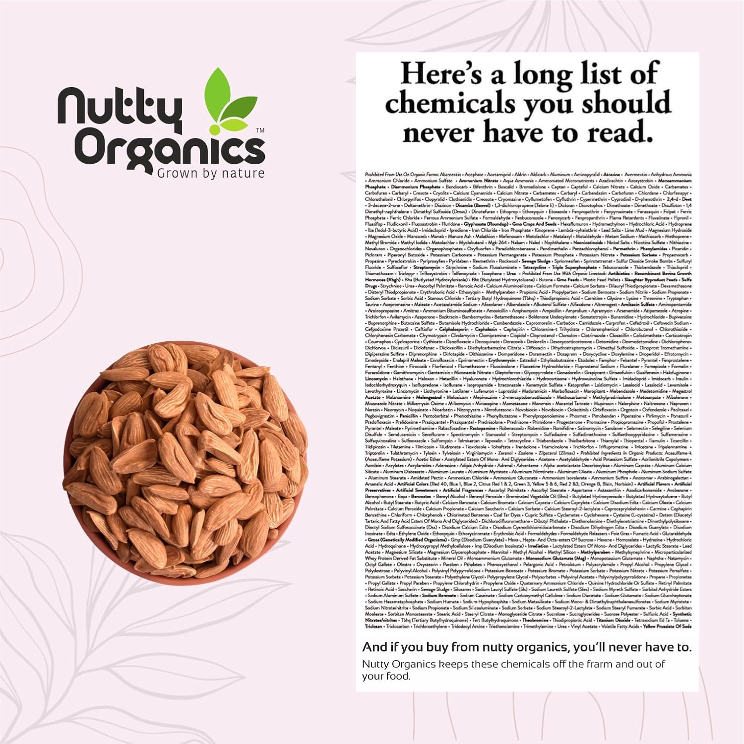 Nutty Organics Almonds Mamra - 500 GM (Grade A ++ Nuts, Premium, Rich In Oil) Richest Natural Source of Vitamins, Magnesium & Protien | Special Mamra Badam Giri