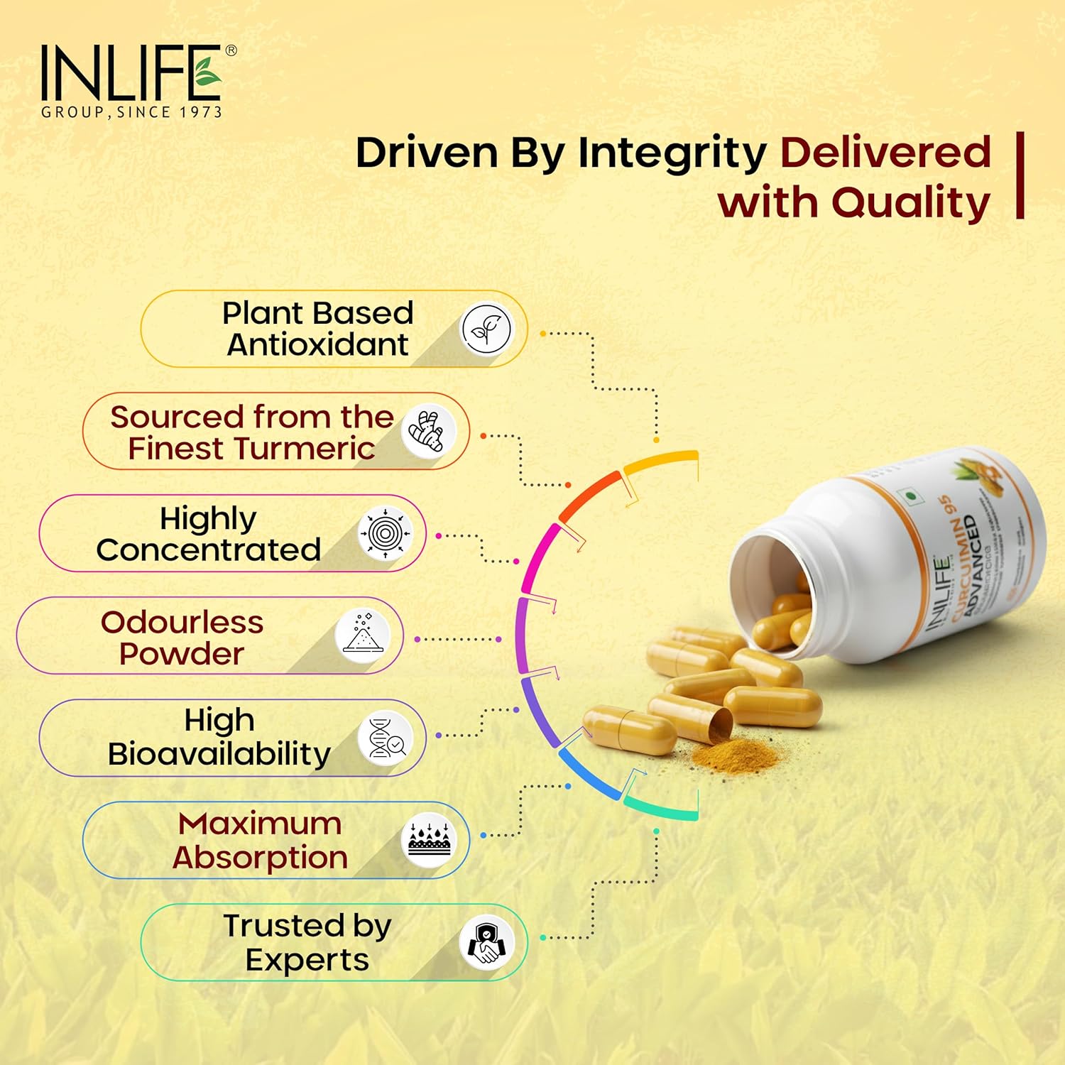 INLIFE Curcumin C3 Complex (95% Curcuminoids) 500 mg Turmeric with BioPerine (Piperine) Extract Supplement 5 mg - 60 Capsules (Pack of 1)