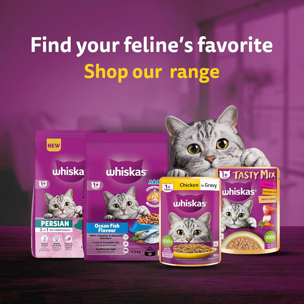 Whiskas Adult (1+ Years) Dry Cat Food, Ocean Fish Flavour, 480 g, Contains 41 Essential Nutrients, Complete & Balanced Nutrition for Adult Cats