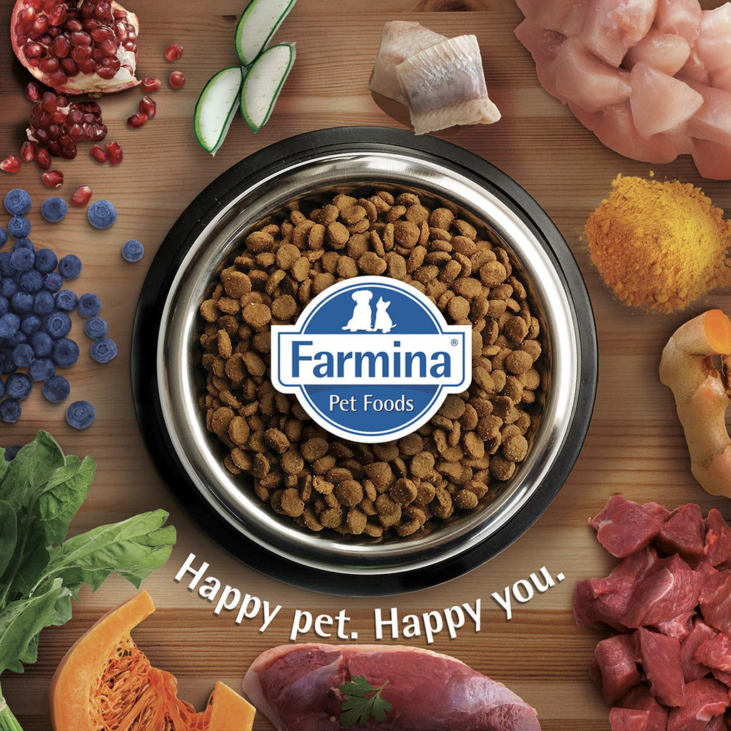 FARMINA N&D Pumpkin | Dog Dry Pet Food | Lamb & Blueberry | Grain Free | Adult Mini Breed | Pack of 2 | Each 800g