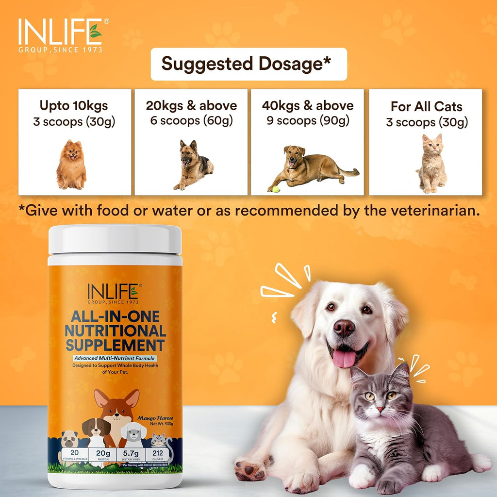INLIFE Nutritional Meal Mix Powder for Dogs Cats and Pets, Protein Supplement with Advanced Multi-Nutrient Formula | Improves Growth and Development | Pet Supplement- 500g (Mango)