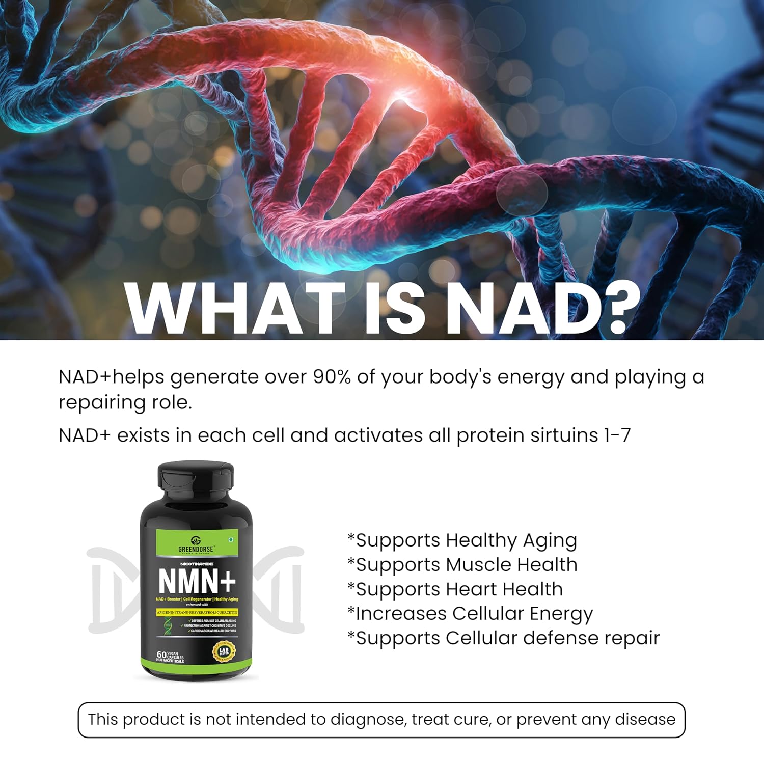 GREENDORSE NMN 99.9% Pure with Apigenin, Trans-Resveratrol & Quercetin | 3-in-1 Supplement | High Bioavailability | 3rd Party HPLC Tested | Supports NAD+, Healthy Ageing, Cellular Health, Muscle & Heart Health | 60 Veg Capsules