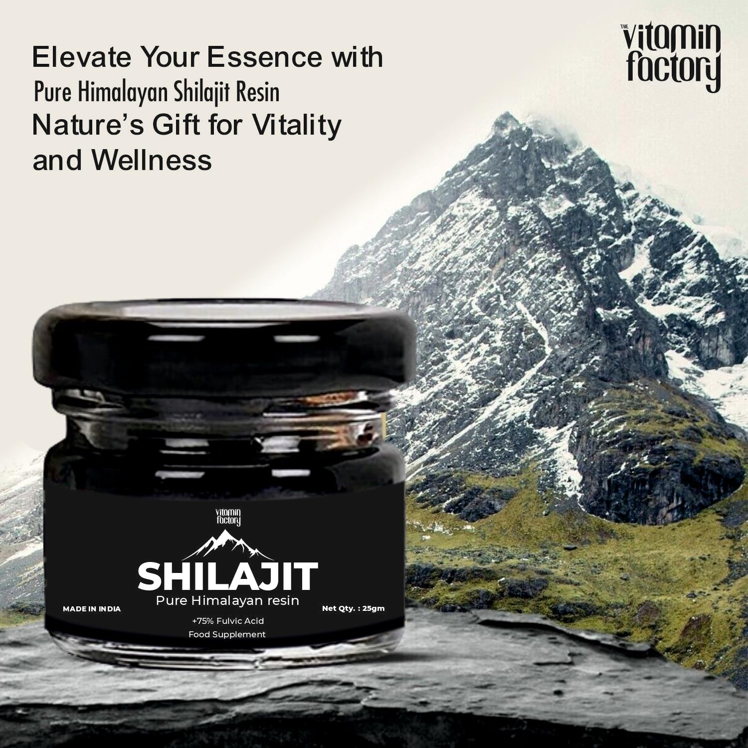 The Vitamin Factory Premium Himalayan Shilajit Resin +75% Fulvic Acid Natural Energy Booster 25g