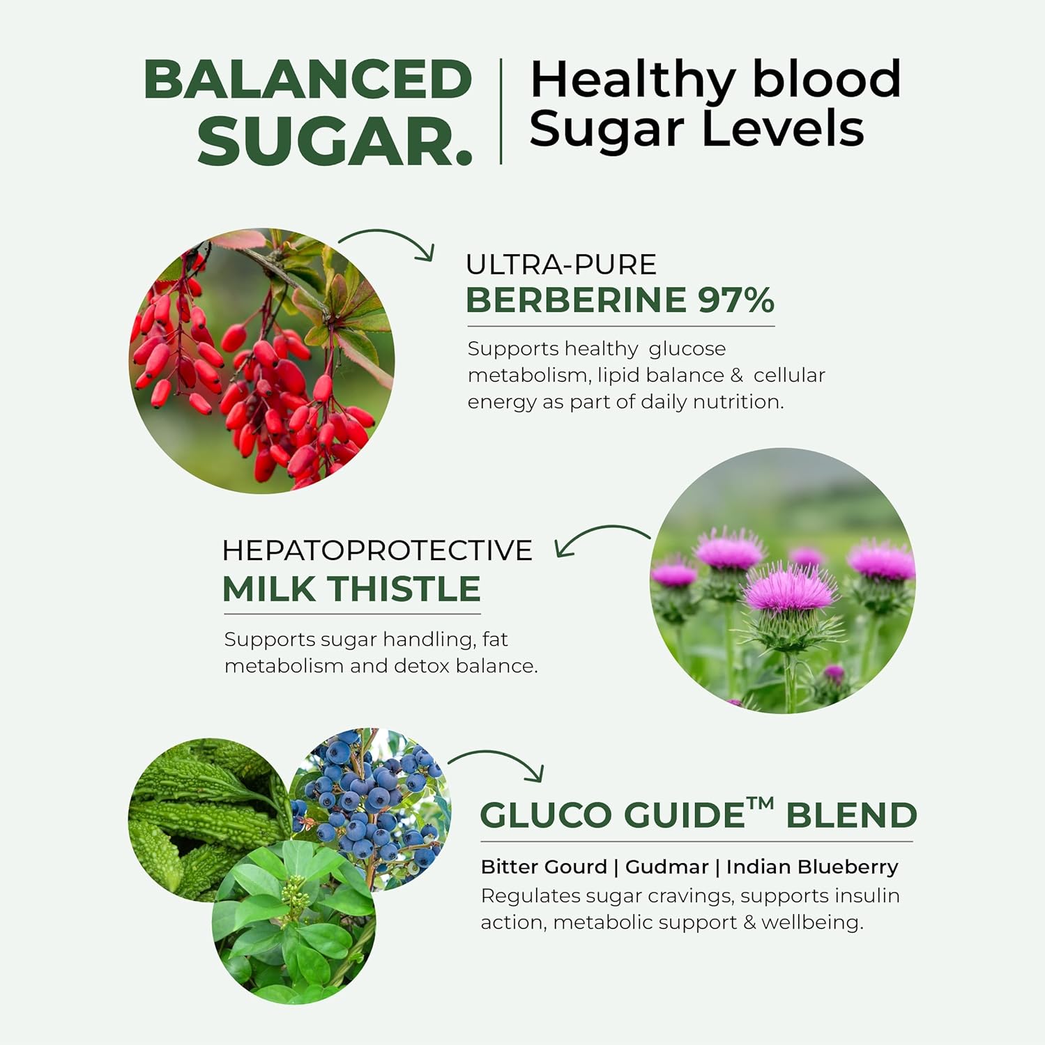 Cureveda Berberine 97% with Milk Thistle & Gymnema | Clinically Tested Gluco Guide Blend For Glucose Control | Supports Weight Management and Glucose Level - 913mg Per Serving - 60 Capsules