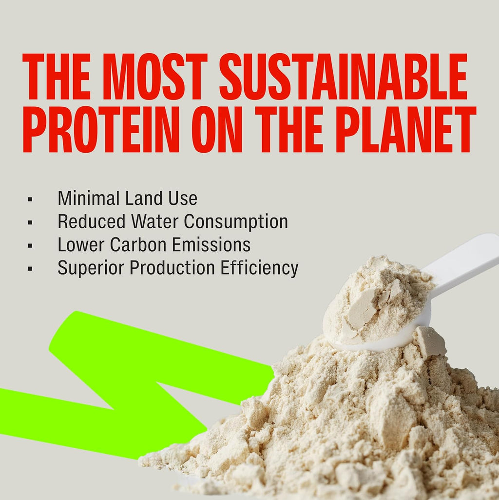 Superyou Pro Fermented Yeast Protein Isolate Assorted Box(Pack of 8) | 24g Protein | Higher Absorption than Plant Protein | Superior Muscle Recovery | Gut Friendly | Vegan Protein | PDCAAS of 1-288g