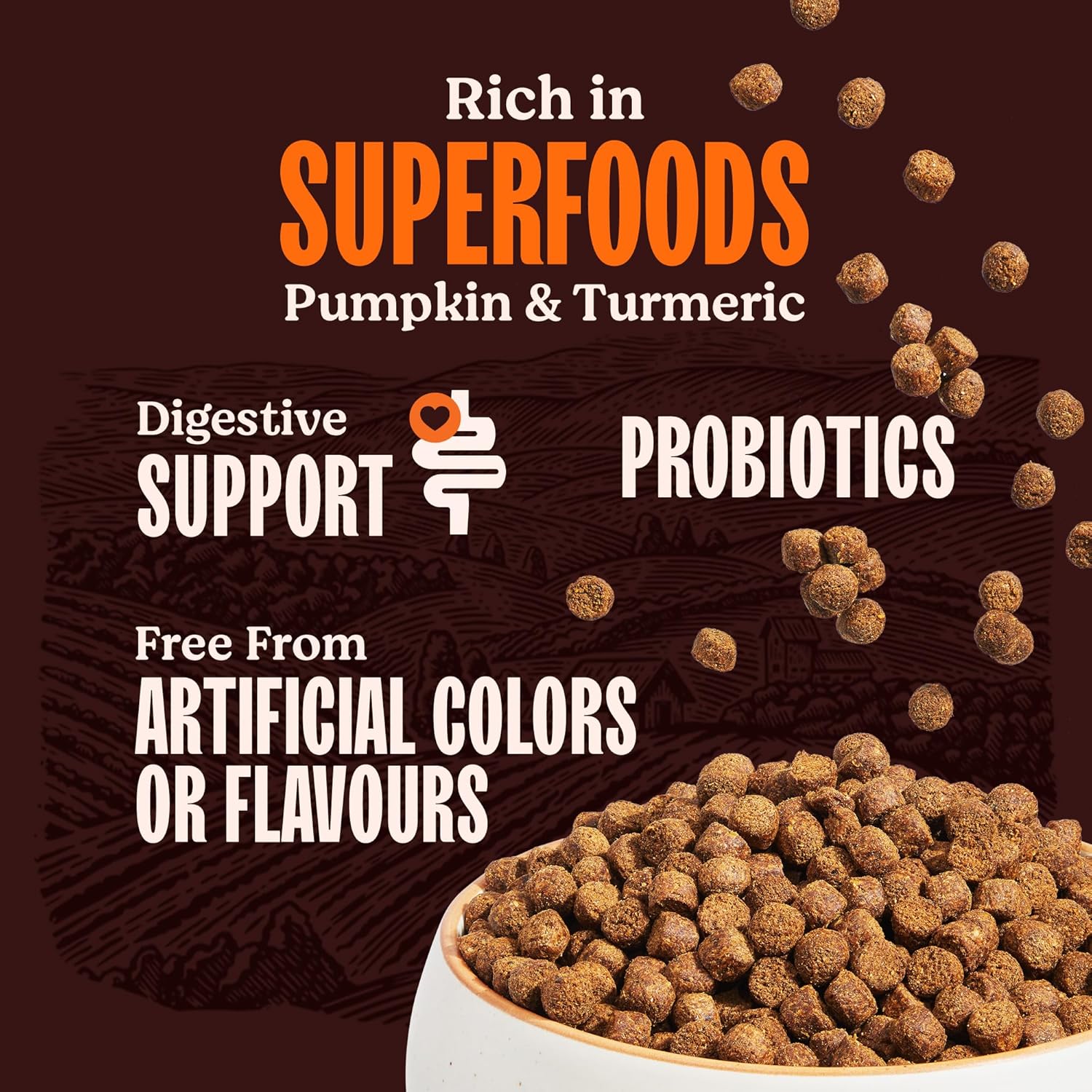 Kennel Kitchen Dry Dog Food Adult 100g | Fresh Chicken with Superfoods – Pumpkin & Turmeric | Probiotics for Digestive Support | No Artificial Colors or Flavours | Complete & Balanced for All Breeds