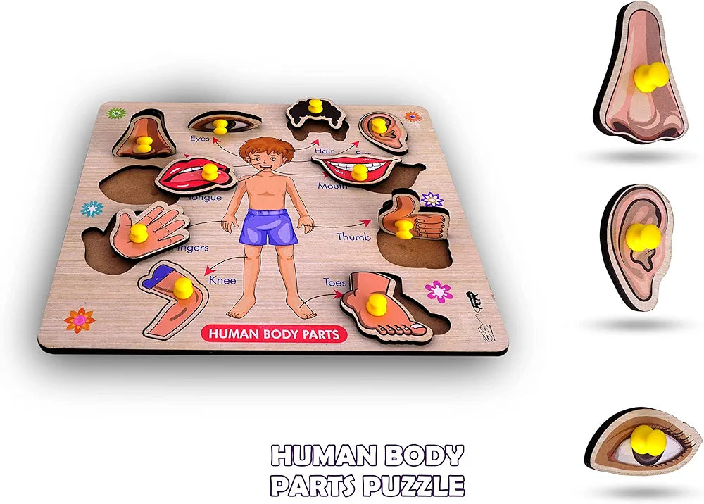 Lefan Body Part Puzzle Kids Wooden Toys for Kids 3 + Jigsaw Puzzles for Adults Baby Learning Toys Educational Toys for 2 Board Game