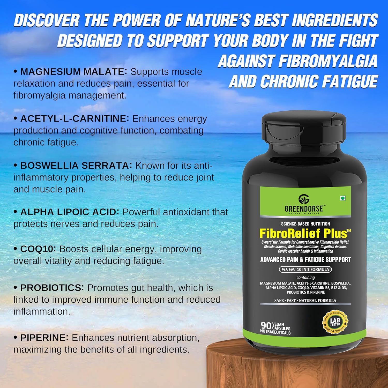 GREENDORSE FibroRelief Plus for Fibromyalgia relief, fatigue, inflammation, muscle cramps etc| 10 IN 1 formula with Magnesium malate, Curcumin, Boswellia, Alpha Lipoic acid, Acetyl-L-carnitine, CoQ10, Vitamins - 90 Veg Capsules