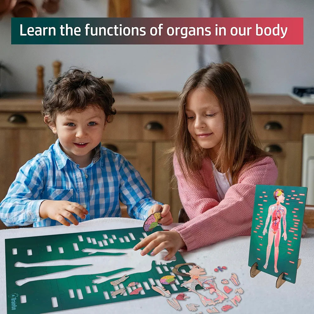 Lefan Human Body Parts Puzzle for Kids Anatomy Body Part Learn About Organs Best Birthday for Boys Girls 5-6-8-10-12 Years Educational Science Toy