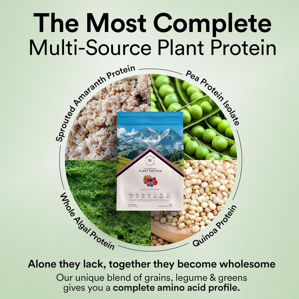 Wellbeing Nutrition Organic Vegan Plant Protein Isolate Powder | 22g Protein, 5g BCAA