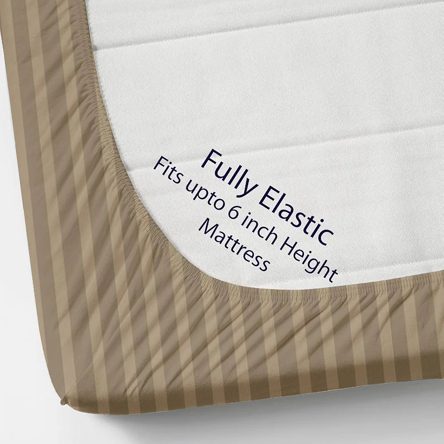 Homefab India 160 TC Stripe Cotton Feel Glace Cotton Elastic Fitted King Size Double Bed Bedsheet with 2 Pillow Covers Fits Upto 6 inches Mattress Beige