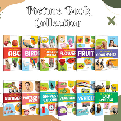 My First Picture Book Collection For Early Learning : Books For Children, Learning Picture Library For Kids, Toddler Book, Early Learning Book With 12 Topics