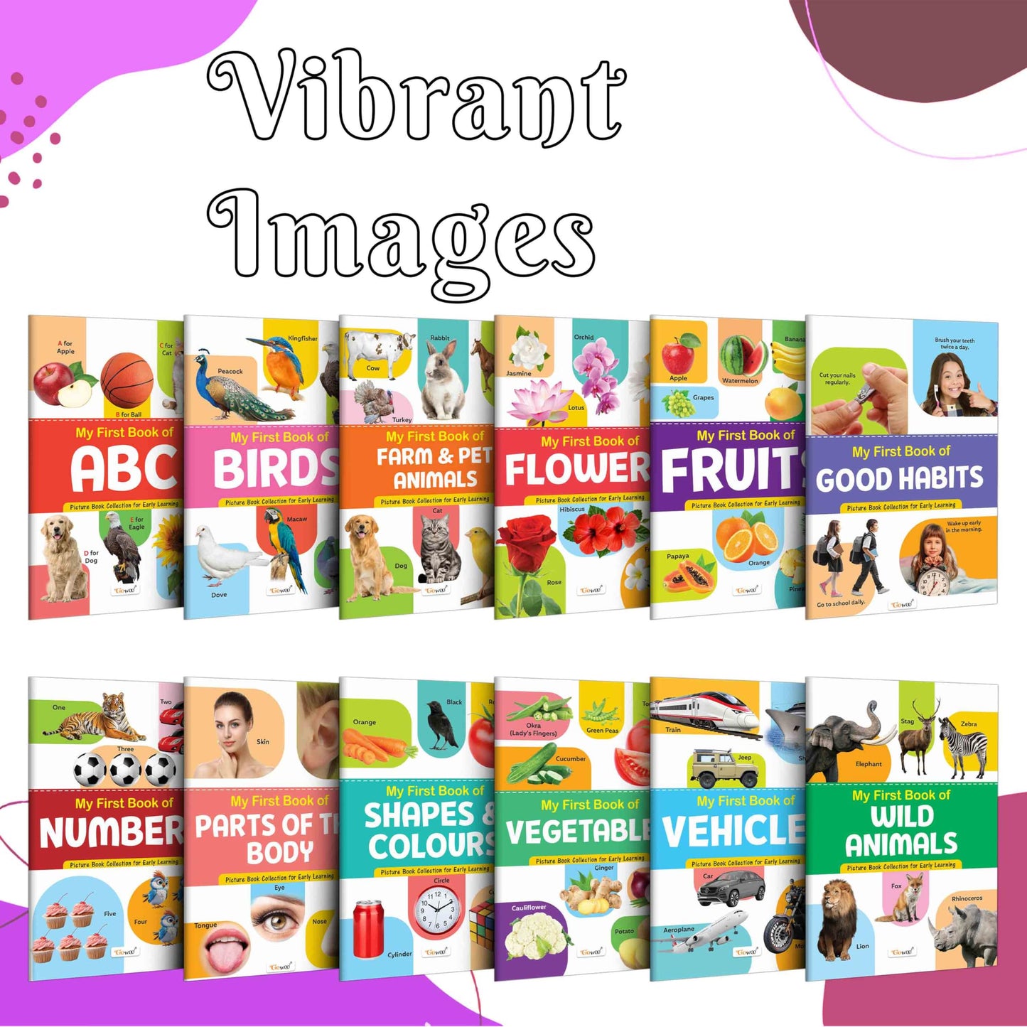 My First Picture Book Collection For Early Learning : Books For Children, Learning Picture Library For Kids, Toddler Book, Early Learning Book With 12 Topics