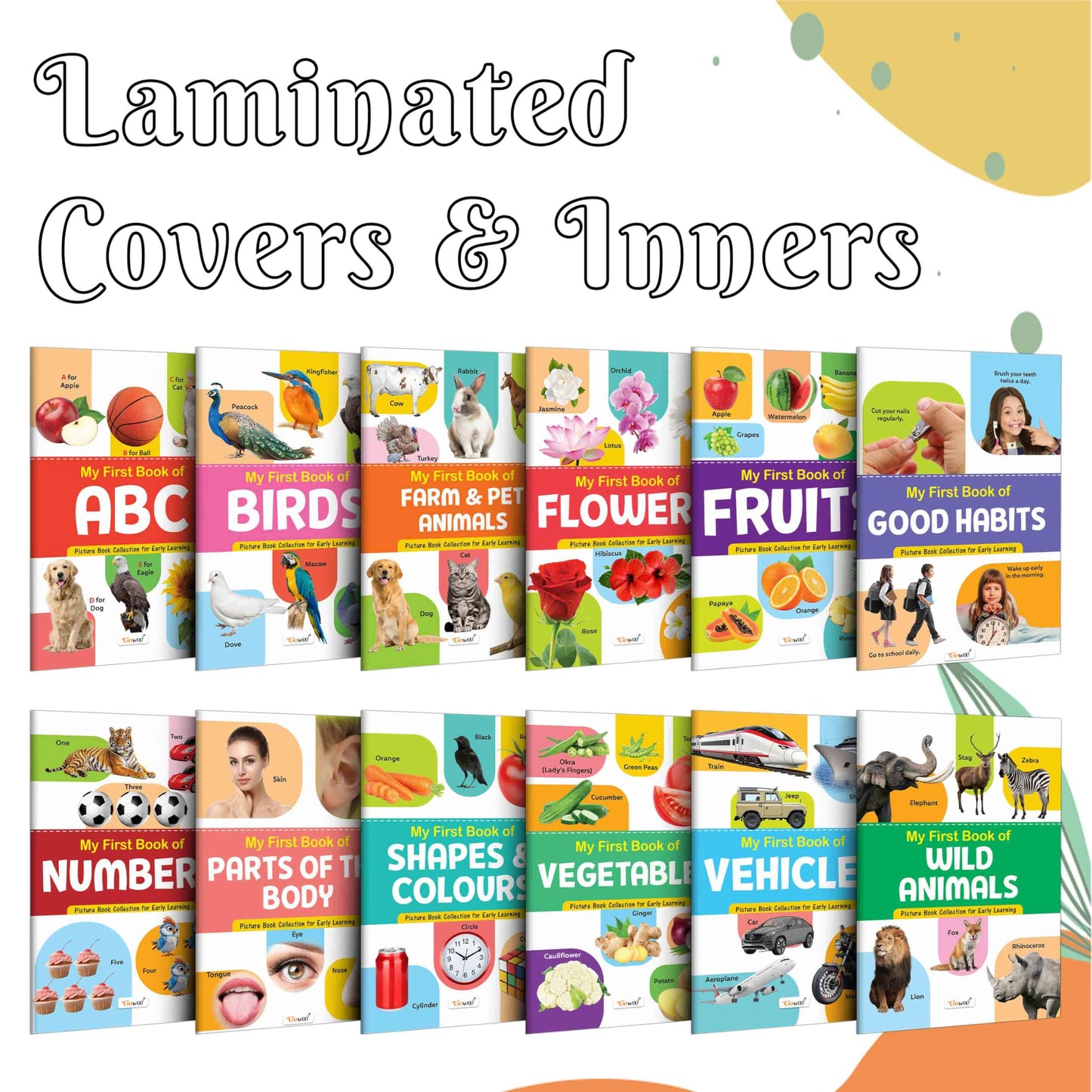 My First Picture Book Collection For Early Learning : Books For Children, Learning Picture Library For Kids, Toddler Book, Early Learning Book With 12 Topics