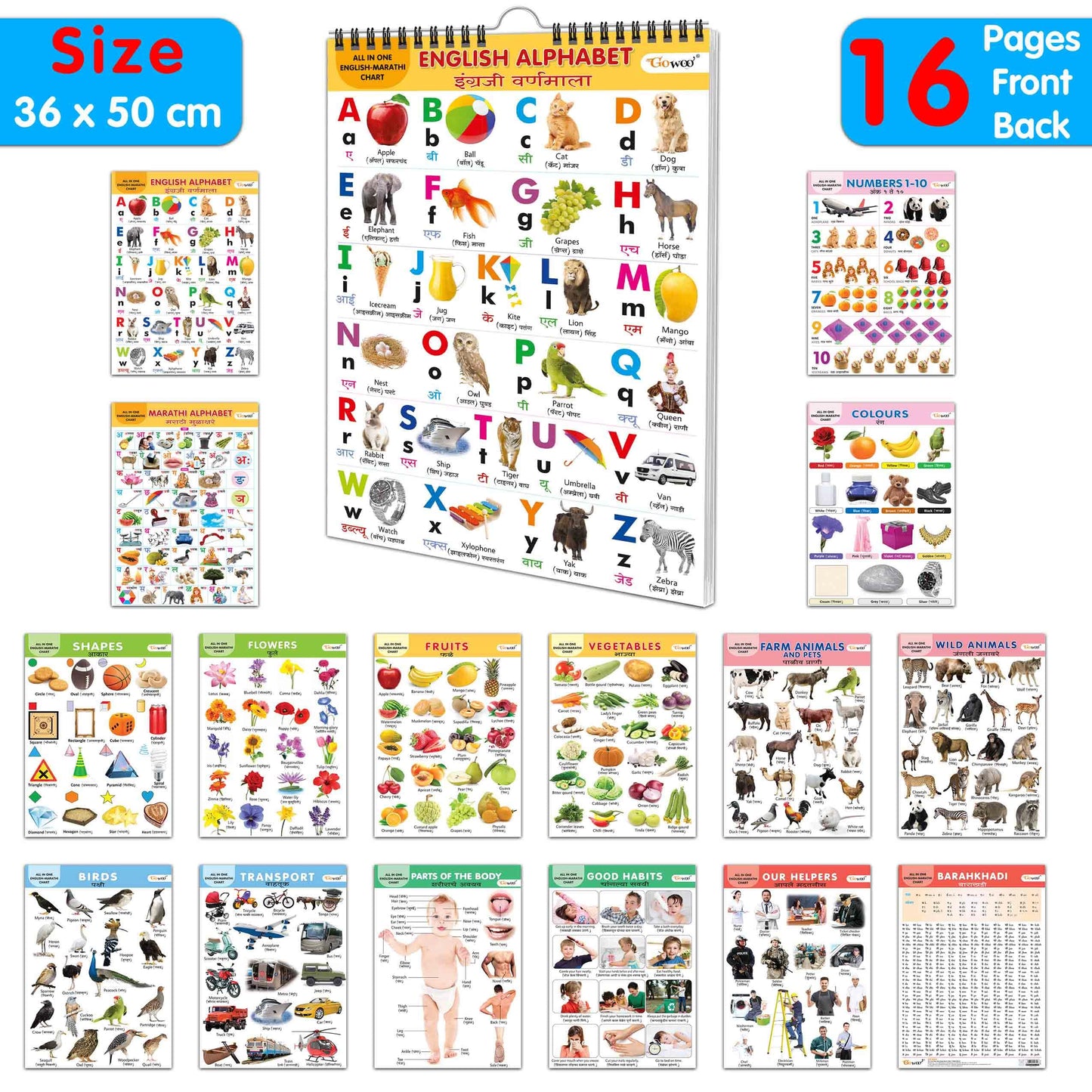 English-Marathi Chart For Kids (16 Charts ) 36 X 50 Cm - Children Spiral Wall Picture Chart
