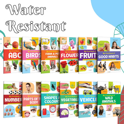 My First Picture Book Collection For Early Learning : Books For Children, Learning Picture Library For Kids, Toddler Book, Early Learning Book With 12 Topics
