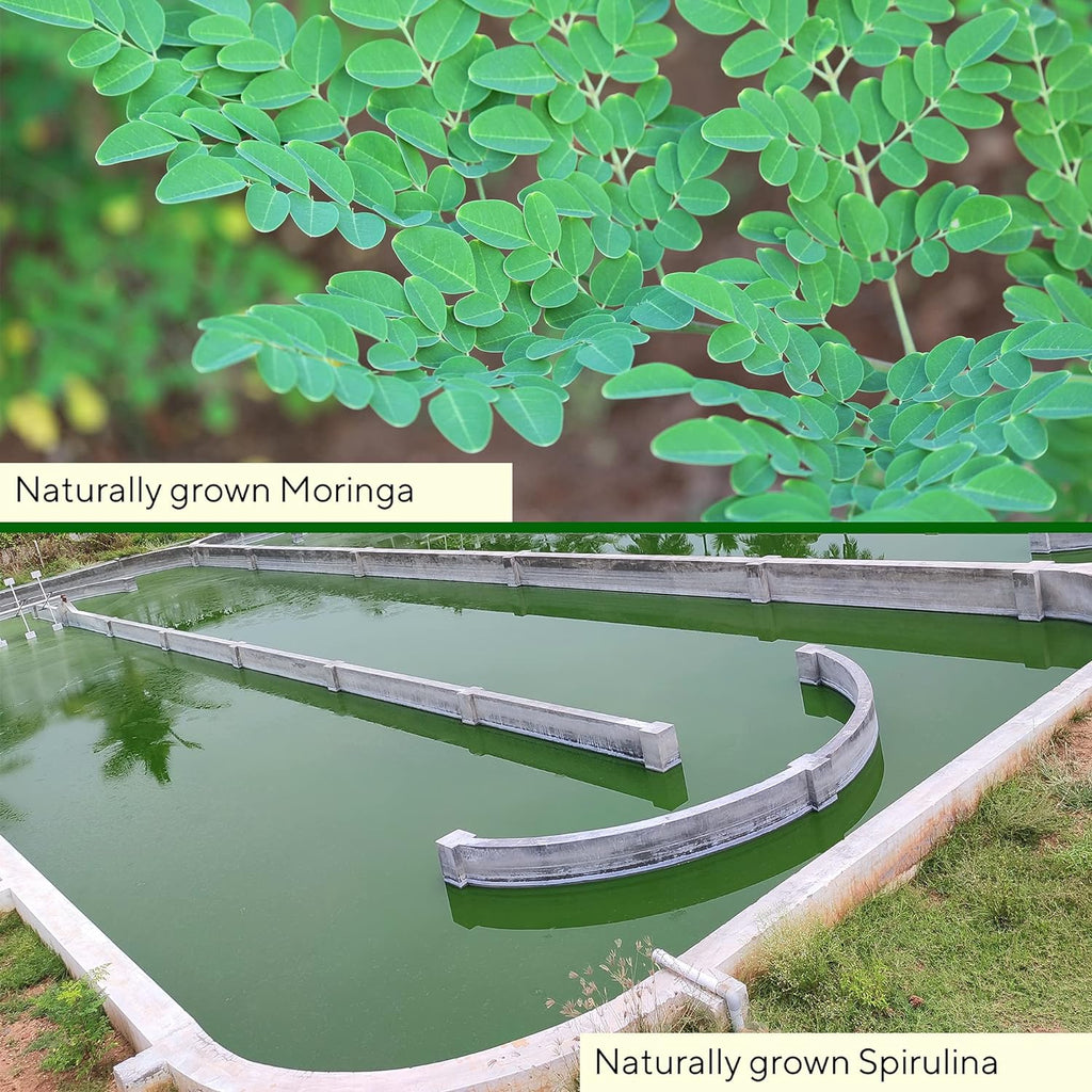 Grenera Moringa and Spirulina Combo