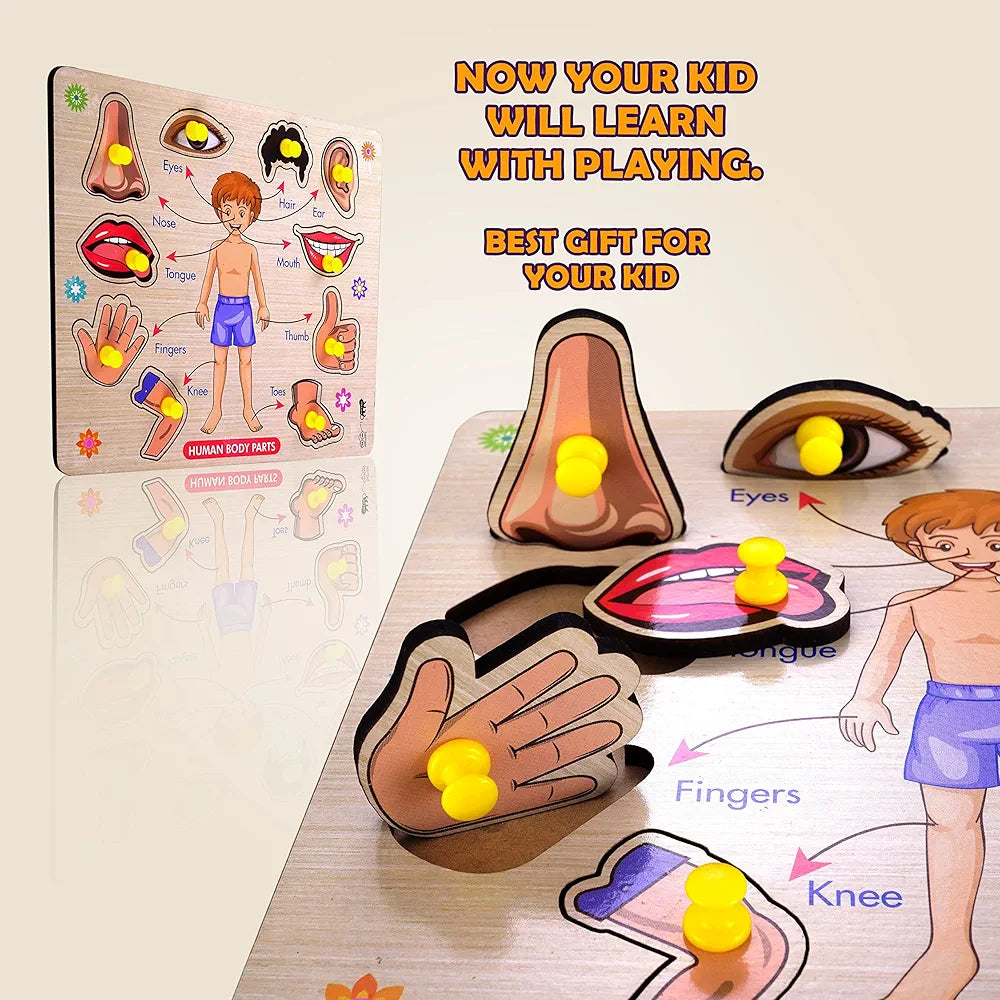 Lefan Body Part Puzzle Kids Wooden Toys for Kids 3 + Jigsaw Puzzles for Adults Baby Learning Toys Educational Toys for 2 Board Game