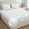 Dreamscape Cotton King Fitted Bedsheet with 2 Pillow Covers Orchid Bloom