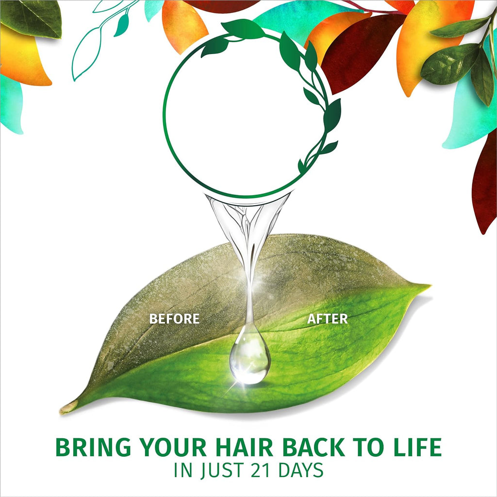 Herbal Essences Biorenew Golden Moringa Oil Smooth Shampoo - 400 ml