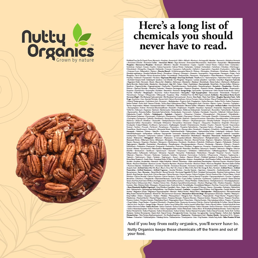 Nutty Organics Pecan Nuts Kernel 200g | Premium Shelled Pecan Nuts | Rich in Antioxidants & Healthy Fats | Natural Dry Fruits