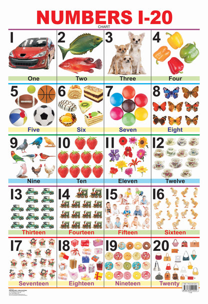 Dreamland Publications Educational Chart for Kids - Numbers 1-20