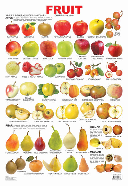 Dreamland Publications Educational Chart for Kids - Fruit Chart - 1