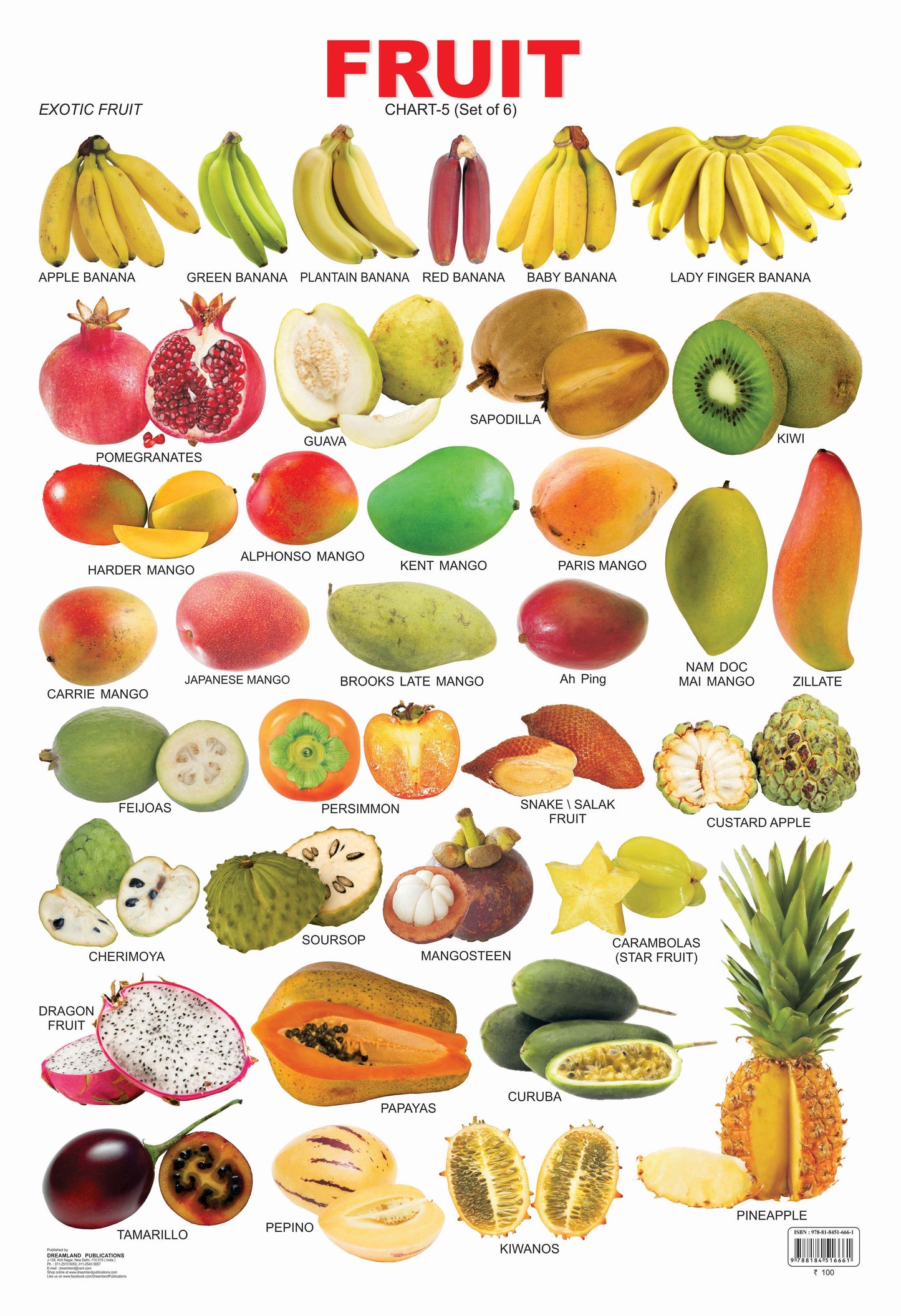 Dreamland Publications Educational Chart for Kids - Fruit Chart - 5