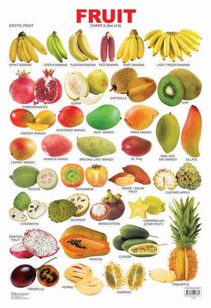 Dreamland Publications Educational Chart for Kids - Fruit Chart - 5