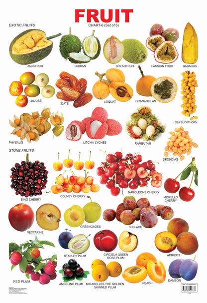 Dreamland Publications Educational Chart for Kids - Fruit Chart - 6