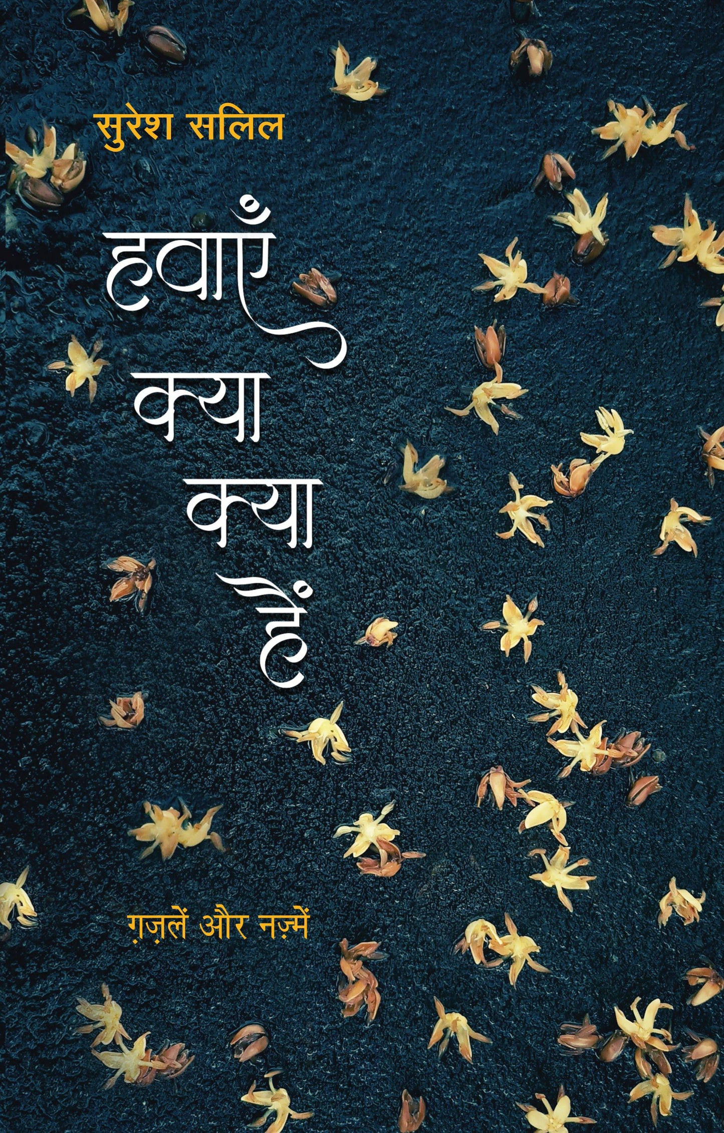 Havayein Kya Kya Hain_Suresh Salil_Paperback - Salil, Suresh
