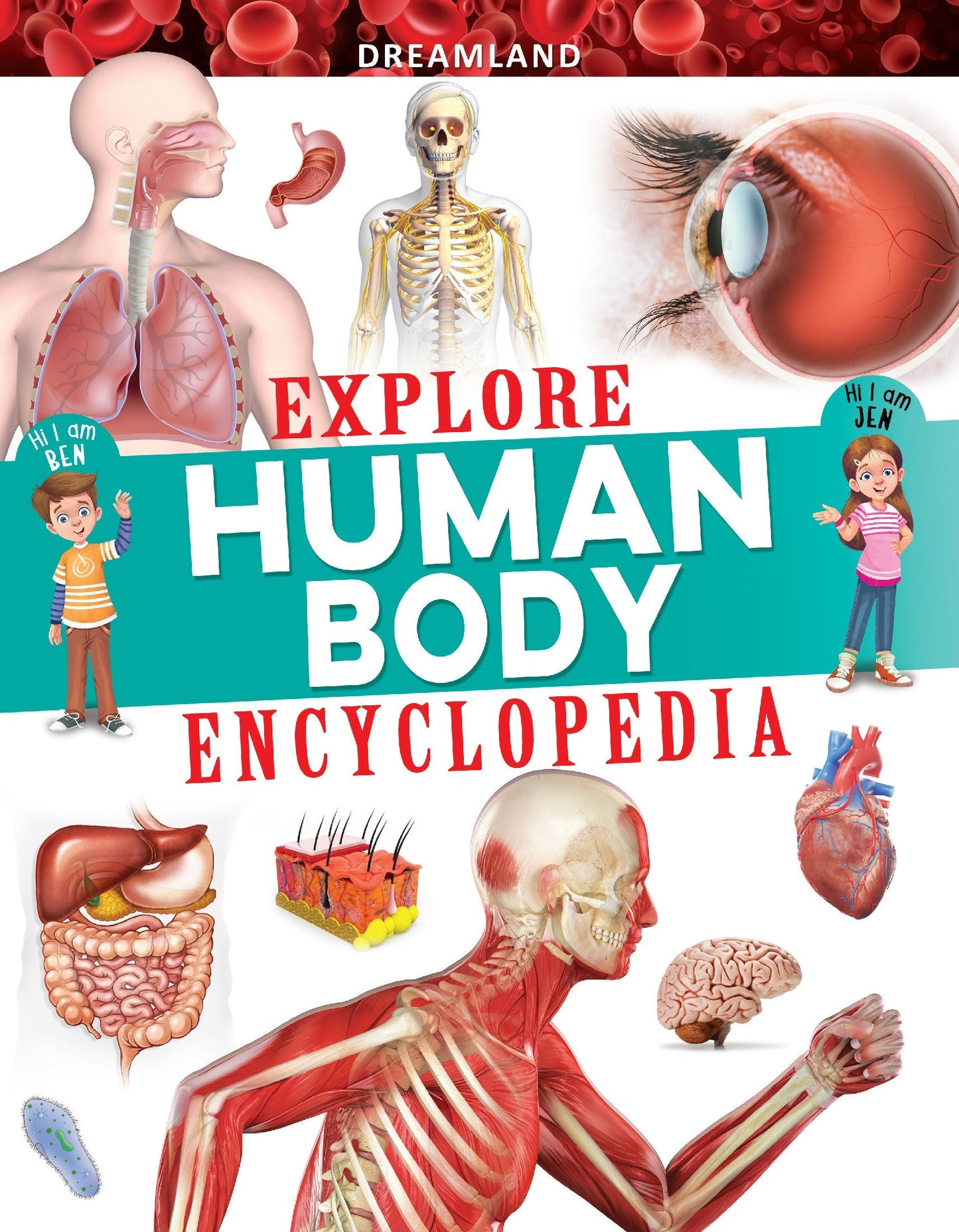 Dreamland Publications Explore Human Body Encyclopedia : Children's Reference Book