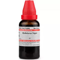 Dr. Willmar Schwabe India Helleborus Niger Mother Tincture Q