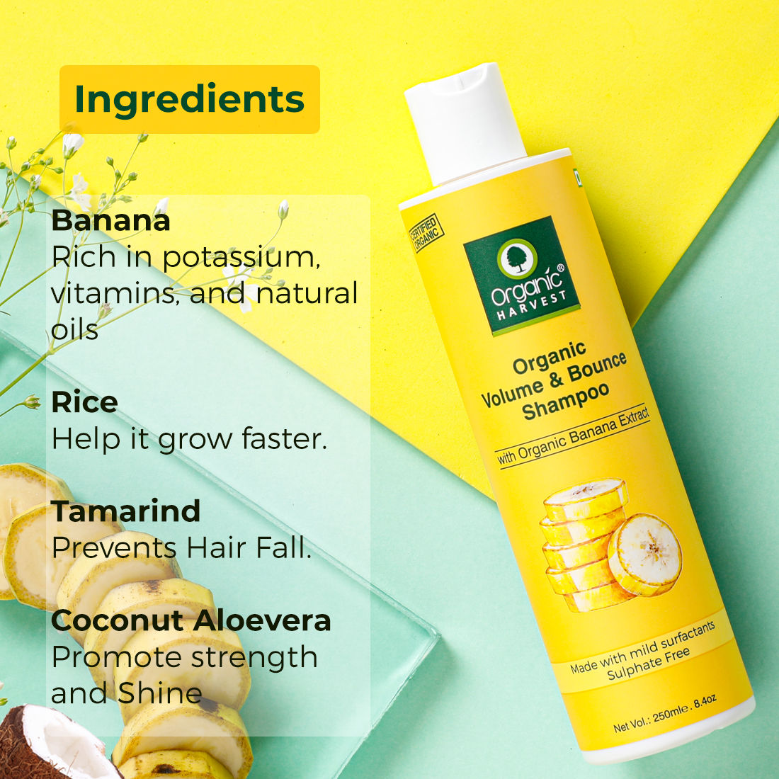 Organic Harvest Organic Volume & Bounce Shampoo With Organic Banana Extract - 250 ml