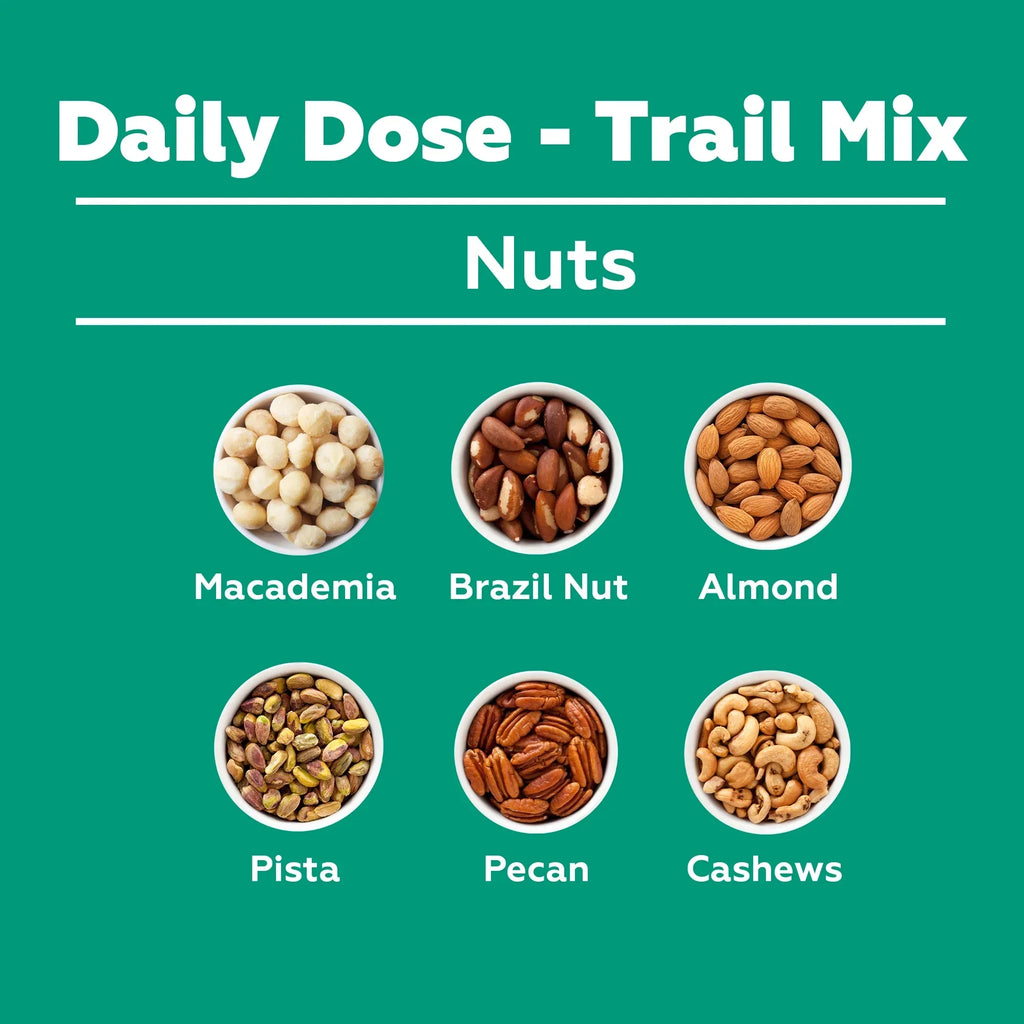 Yogabar Daily Dose Trail Mix - 325 gms