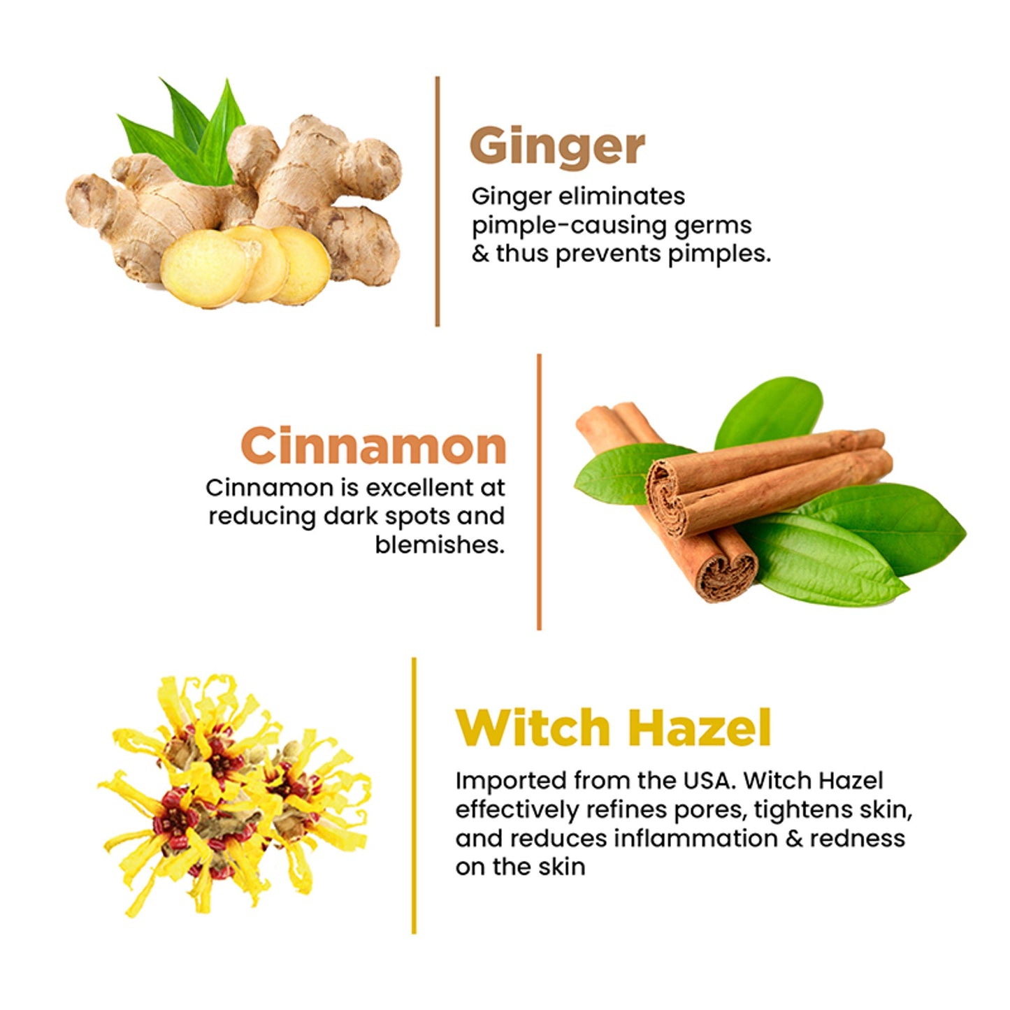 The Skin Story Oil & Pimple Control Ginger Cinnamon Face Wash
