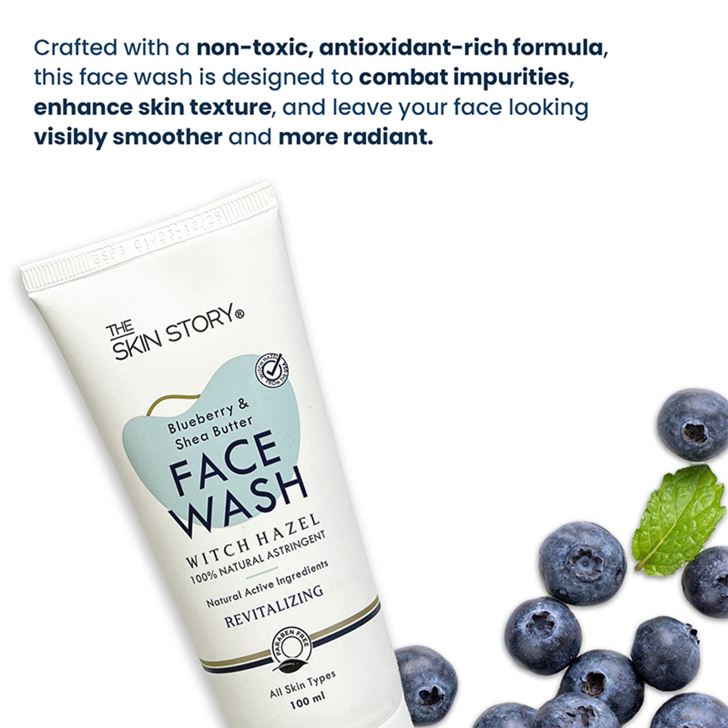 The Skin Story Blueberry Anti-Oxidant Gel Face Wash