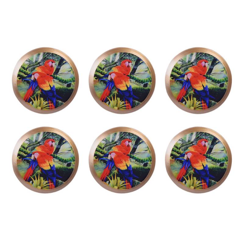 Bird Print Color Coasters | Set Of 6