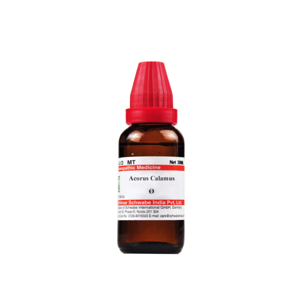 Dr. Willmar Schwabe India Acorus Calamus Mother Tincture Q